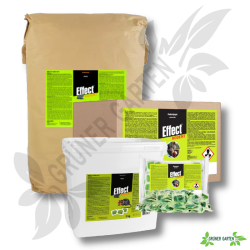 Effect Rodent pasta