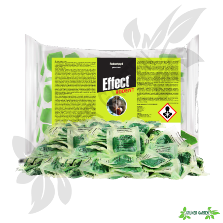 Effect Rodent pasta