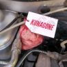Kunagone odstraszacz kun