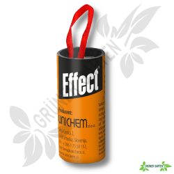 Effect lep na muchy